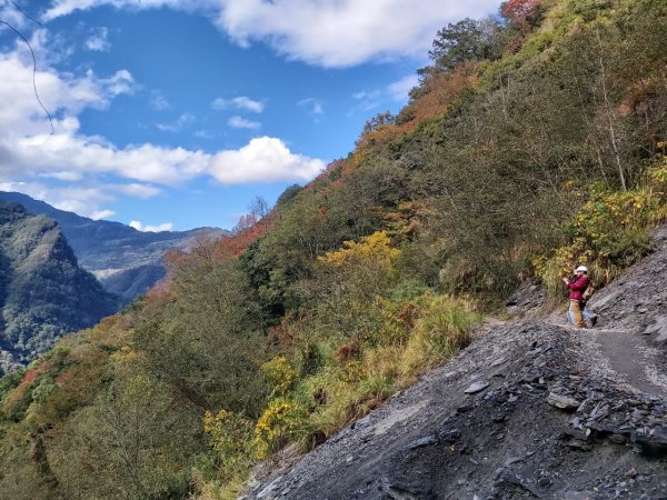 中級山-司馬庫斯2888974