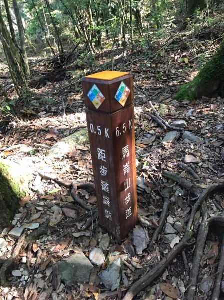 谷關七雄  老二  馬崙山  郊遊1469062