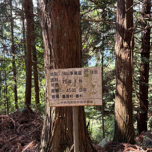 1150619屋我尾山北峰-屋我尾山主峰-屋我尾林道O繞3078473