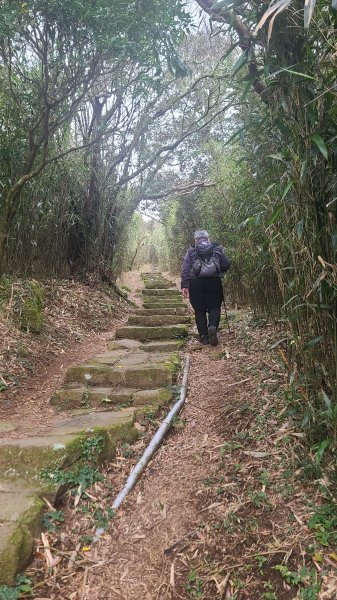 2026-0116 大屯三山_貴子坑_北投2984835