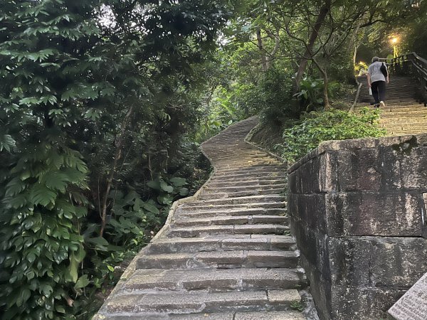 [山頂鳥40周年會員大縱走-09/15] 2024_0718 象山親山步道2556887