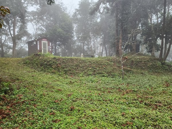 20260208五分寮頂山內大坪山石硬山O型3005249