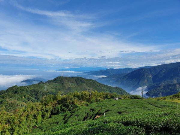 【雲嘉茶園之美】後棟山連走大二尖山1532199