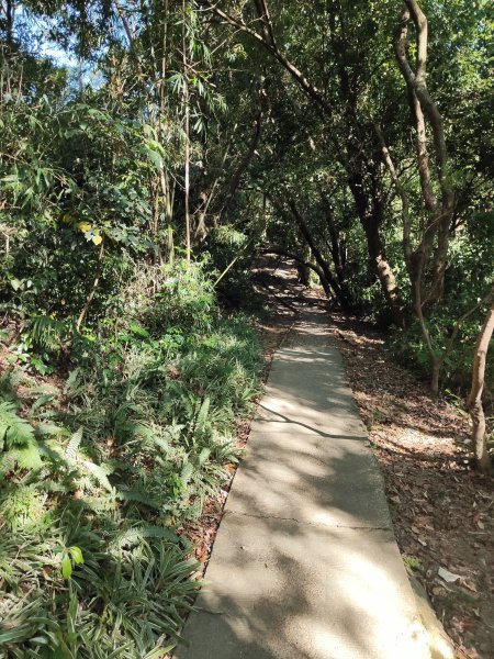 微笑山線：【大棟山系】405高地段2874158