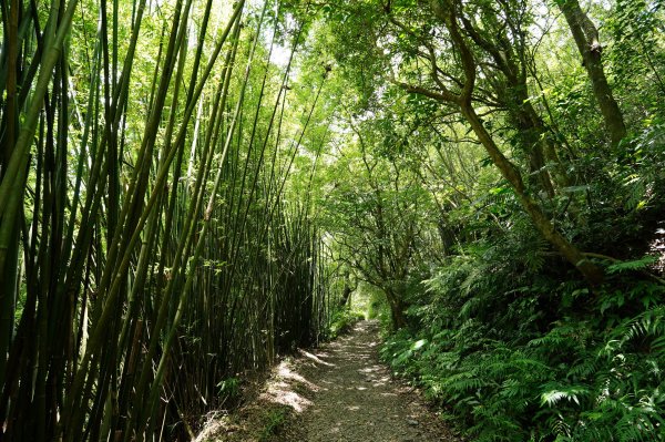 宜蘭 礁溪 三角崙山2548294