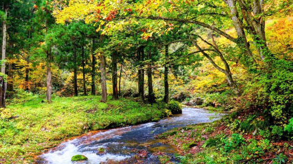 山形縣銀山溫泉2929649