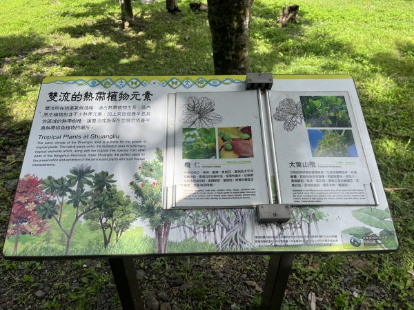 [屏步青雲 尋寶任務-03/10] 2024_0917 雙流國家森林遊樂區（瀑布步道）2597717