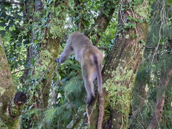 南玉山之行2822749