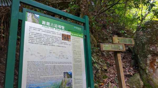 錐麓古道算高山嗎?1122378