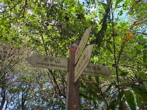 桃園石門山（小百岳）2910050