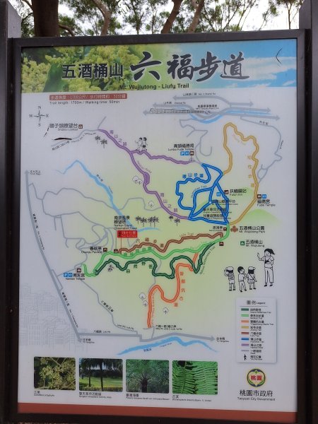 五酒桶山+山鼻山步道202411112647150