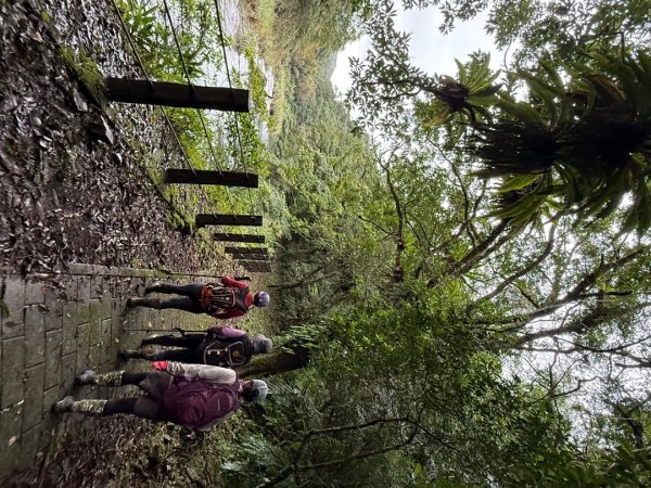 淡蘭中路五段2971953