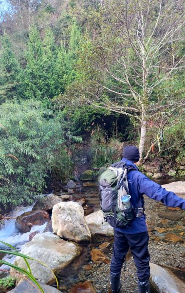 【中級山縱走】羅馬縱走，走進神木的夢幻童話森林世界2943165