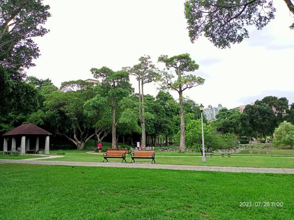 大湖公園、大湖山莊街 2-1【走路趣尋寶】2261303