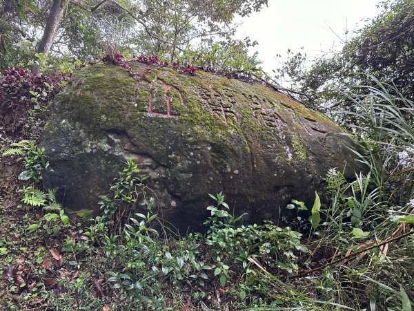 細雨中遠眺101登南港山2043834