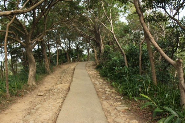 20170107台灣桃園虎頭山步道90637