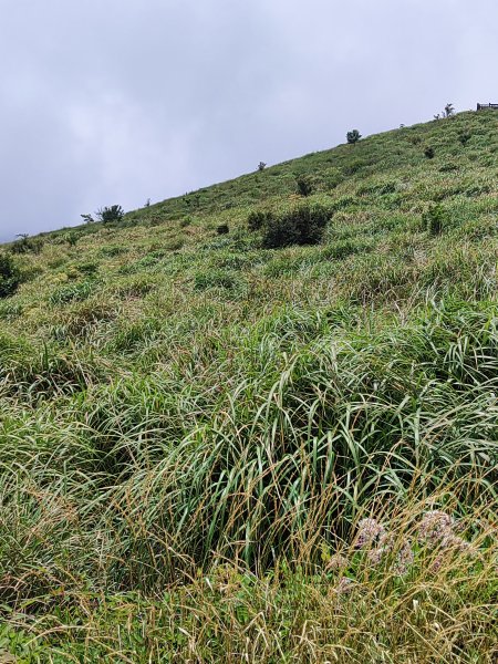 臺北大縱走第三段：小油坑至風櫃口2817675
