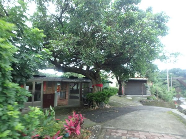 1070614茶山步道3099473