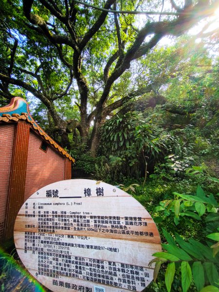 2025-04-27 三員縱走2772046