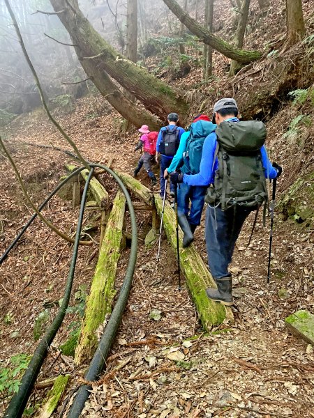 樂山鐵道順登鹿坑山.南比林山.尤命神木1164432