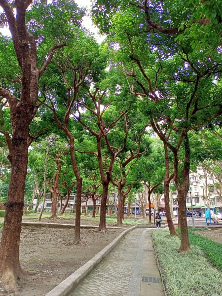 內湖文德三號公園、瑞陽公園《花之饗宴》