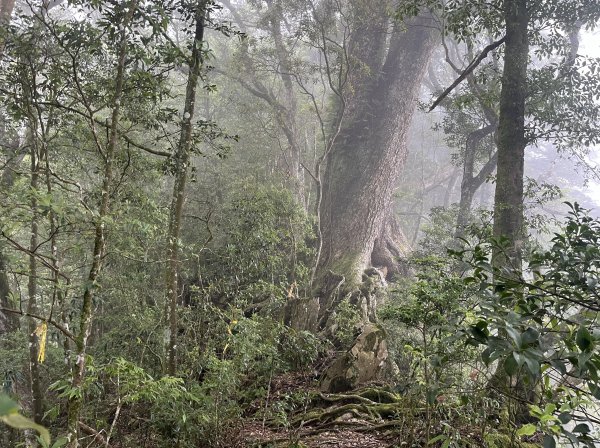 2025_0622 霞喀羅大山2819202