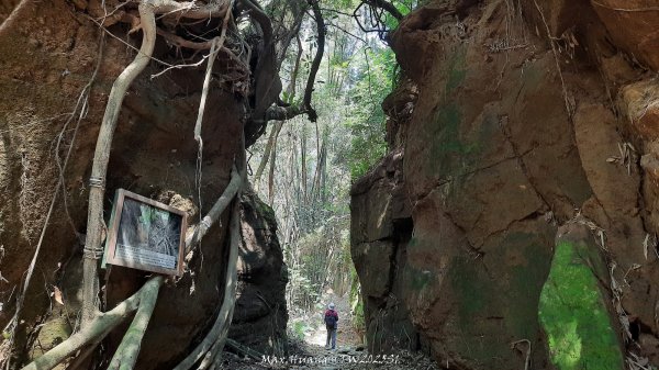 《彰化》原始峽谷｜八卦山一線天步道202502282723525