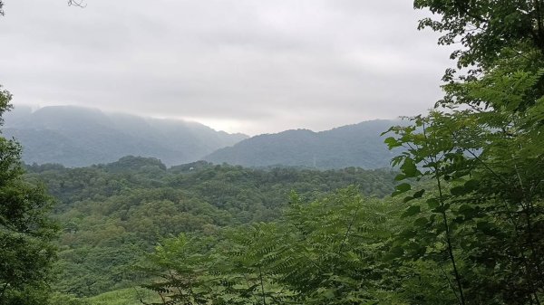 20250607 新竹竹東三山(樹杞林山 - 新具庄山 - 員崠子山)  O型2808911