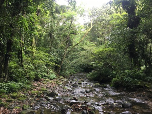 熊竹（熊空瀑布、竹坑山2512336