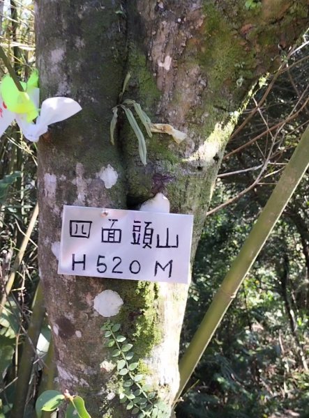 肆方巖…四面頭山…十六分山…鵝角格山2426151