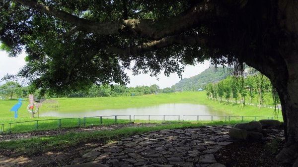 山佳荷花池2172760