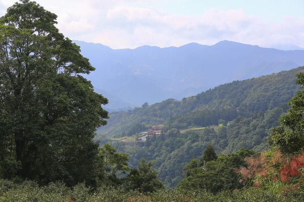 [步道小旅行] 獅公髻尾山登山步道3022