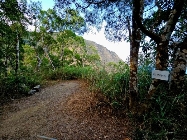 里龍山-小百岳#69-屏東縣獅子鄉2750516