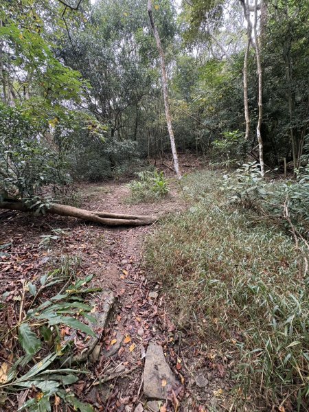 20251108白雲山步道2935195