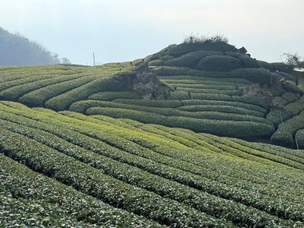 二延平步道3025740