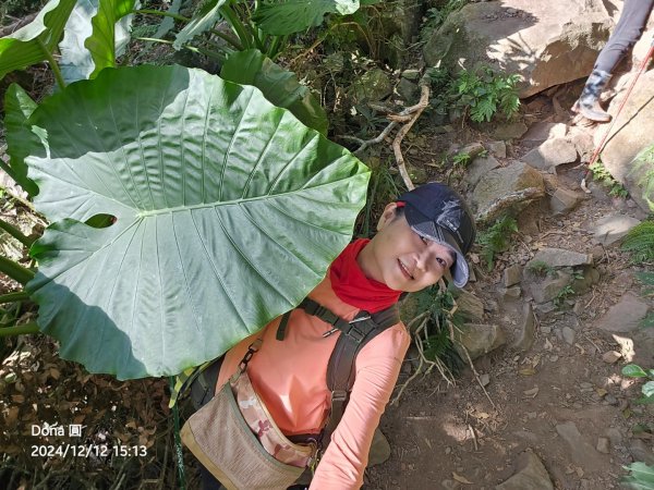 【谷關七雄】波津加(H1771.6m)肉腳配速成功2670522