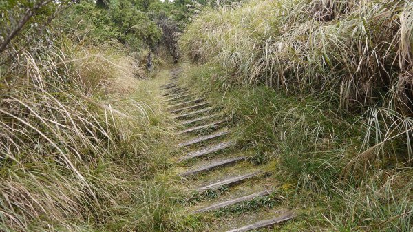 翠峰湖環山步道登山健行趣(步道)1552385