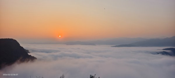 #翡翠水庫壩頂 #日出 #雲海 #藍腹鷴 2/22 #年初六3004072