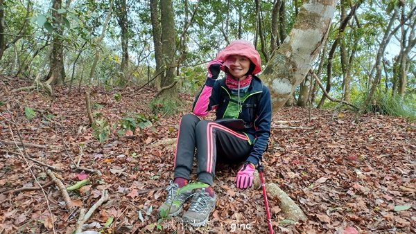 【苗栗泰安】水雲三星最終回。 橫龍山x橫龍山北峰x騰龍山(有極佳的展望)2061881