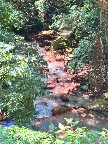 天母水管路走陽明山尖山2881326