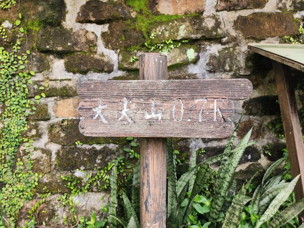 小百岳No.12⛰汐止大尖山2751644