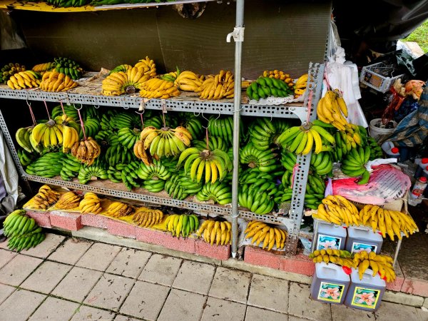 大坑9、10號步道-(台中)臺灣百大必訪步道2805936