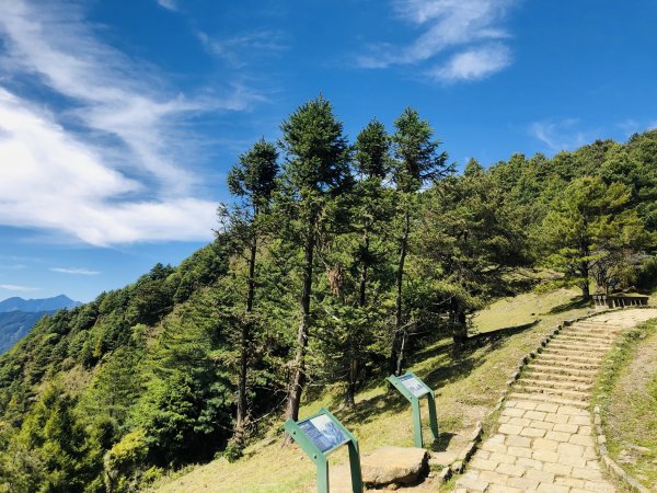 【眺望玉山群峰】鹿林山1806783