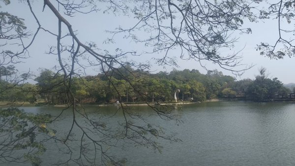 2020 2/4 虎頭埤878918