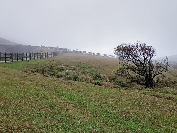 擎天崗環形步道、冷擎步道《擎天崗3山、1潛堡、6圓堡健行巡禮》【走遍陽明山】2081750