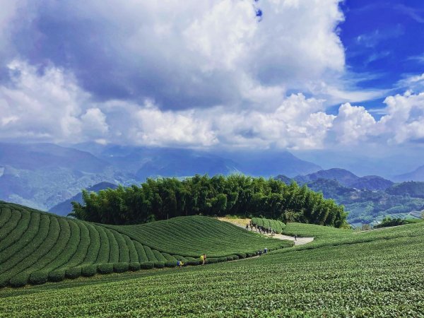 二延坪_鹿林山2865322