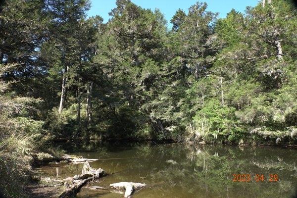 南投 仁愛 武法奈尾山2133768