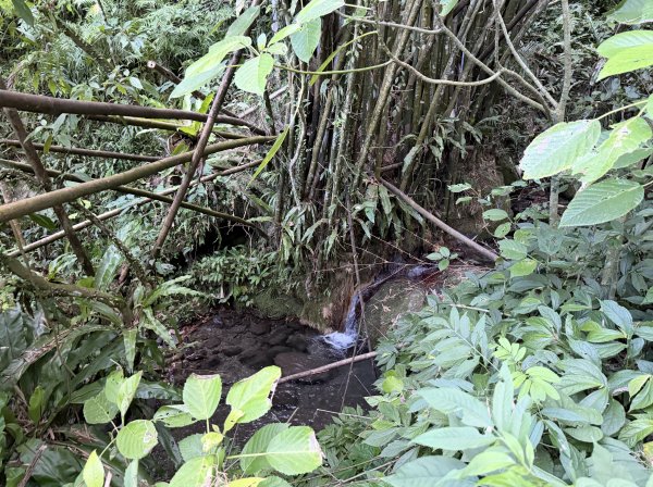 2025_1018 花蓮縣鳳林鎮鳳凰瀑布2921373