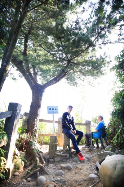 大坑四號登山步道422052