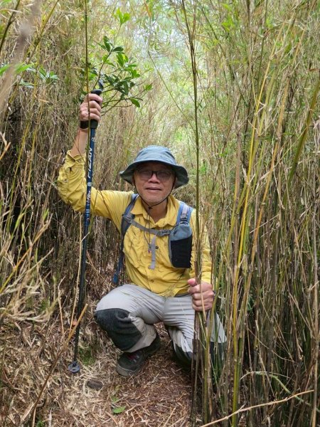 北一段(10/14)馬比杉山 2025_0906~132887118